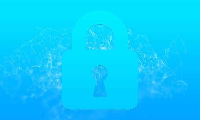 cyber-4390576_640.jpg